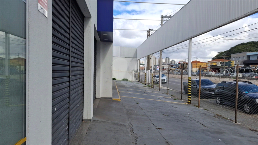 Foto REO294130