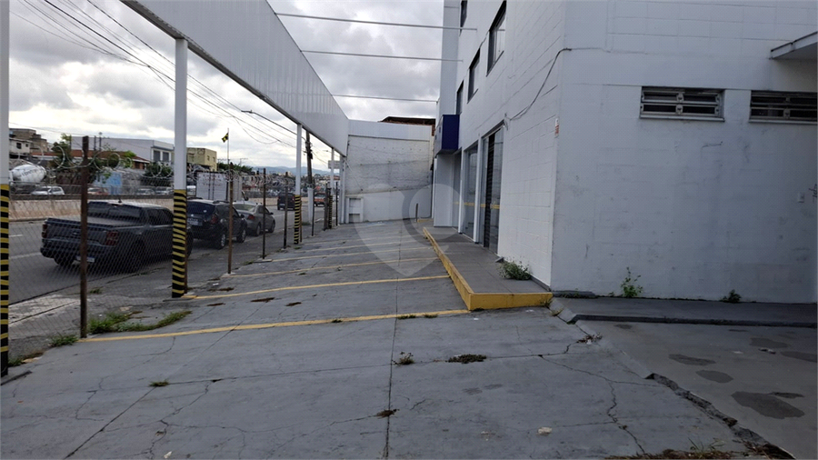 Foto REO294130