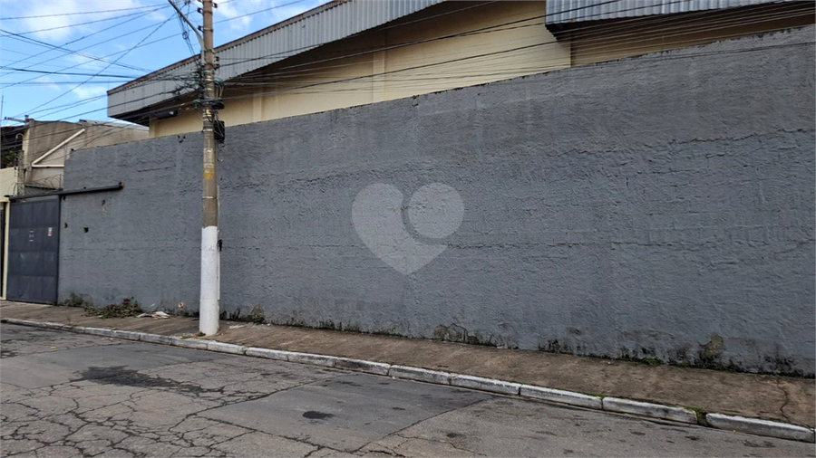 Foto REO294130