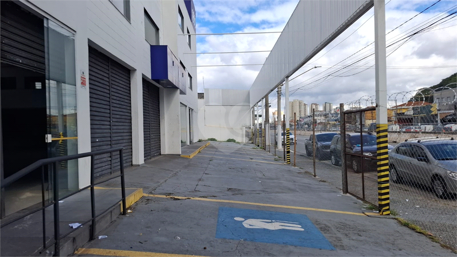 Foto REO294130