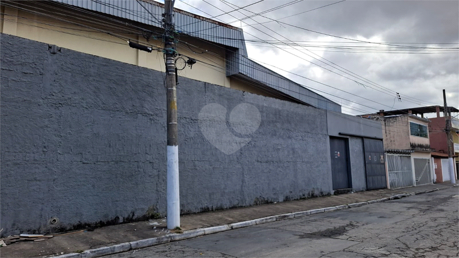 Foto REO294130