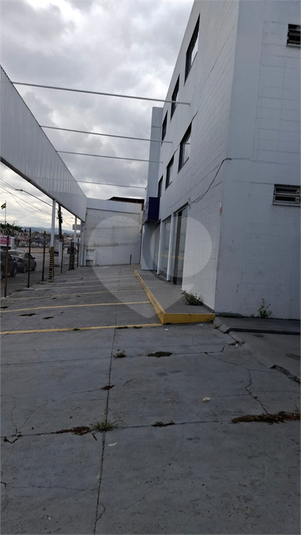 Foto REO294130