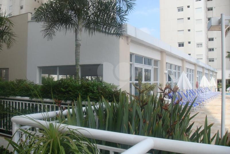 Foto REO294477