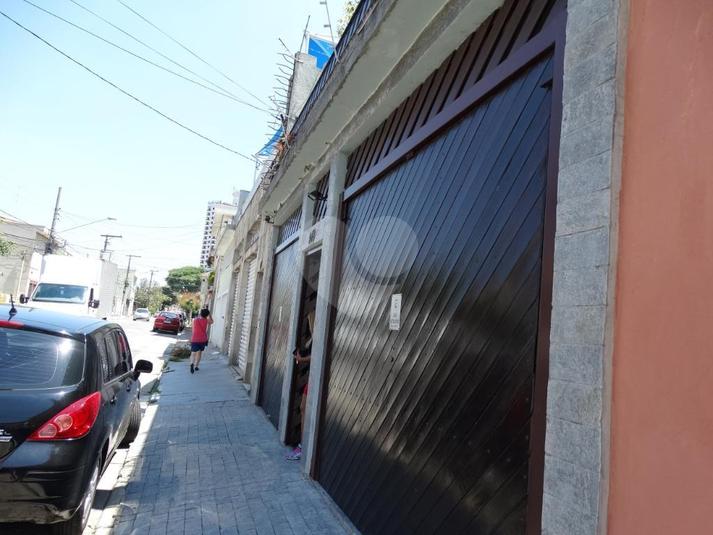 Foto REO294540