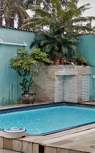 Foto REO295185