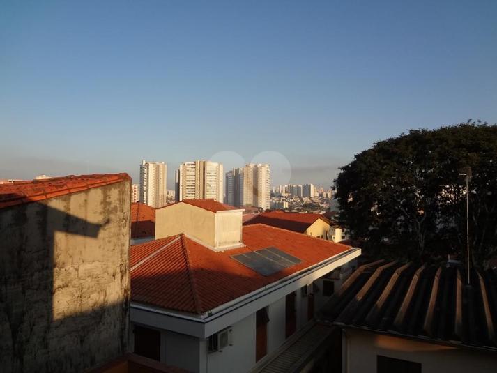 Foto REO295284