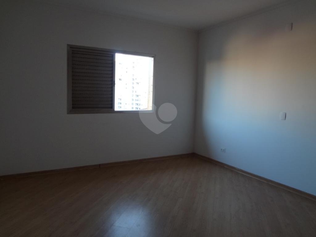 Foto REO295284