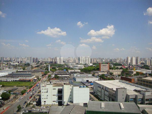 Foto REO295655