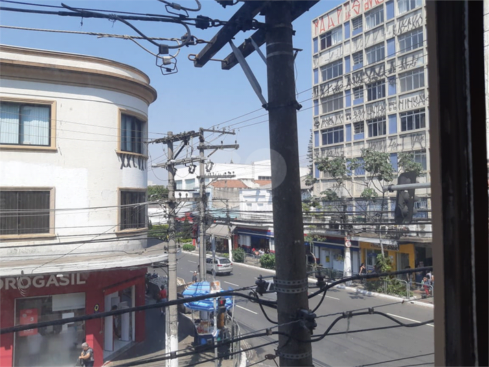 Foto REO295734