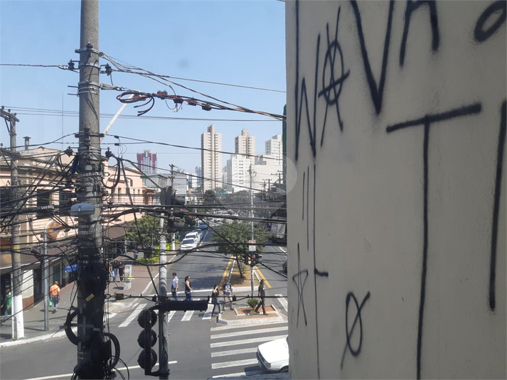 Foto REO295734