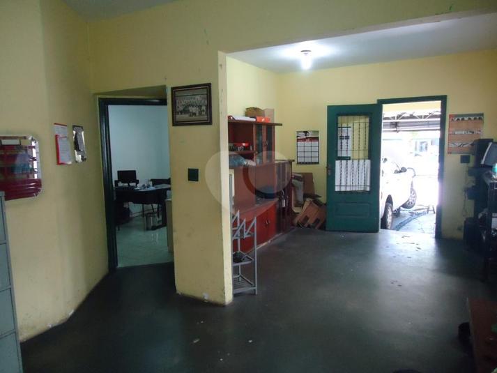 Foto REO296964