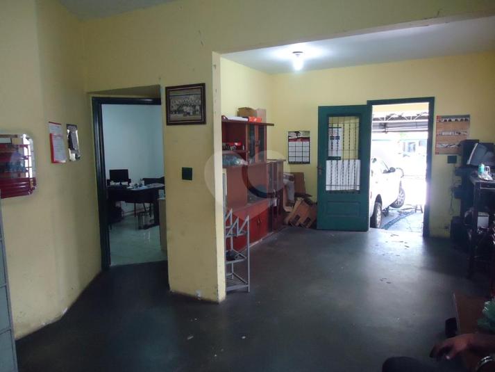 Foto REO296964
