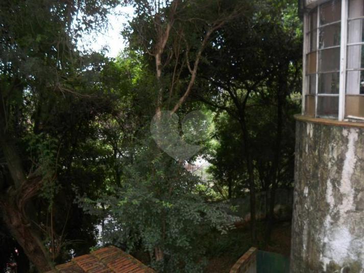 Foto REO29716