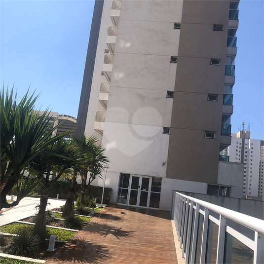 Foto REO297818