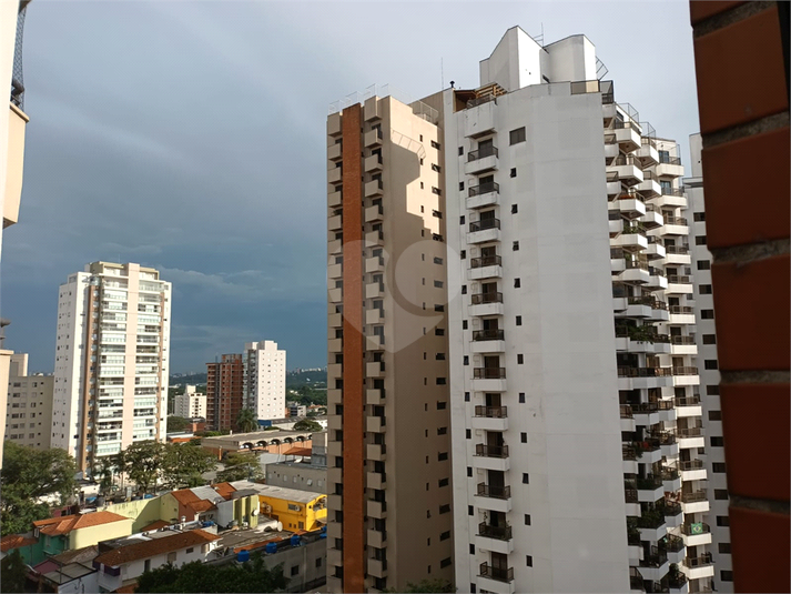 Foto REO299159