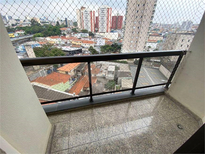 Foto REO299278