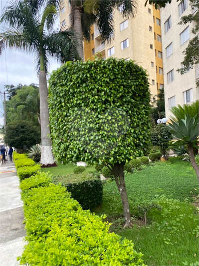 Foto REO300753