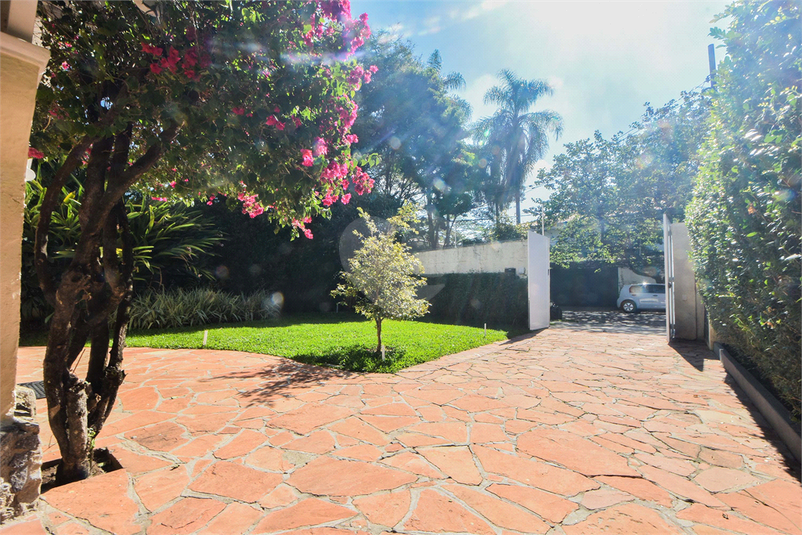 Foto REO300797