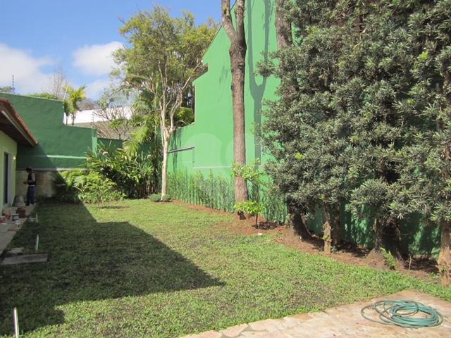 Foto REO300797