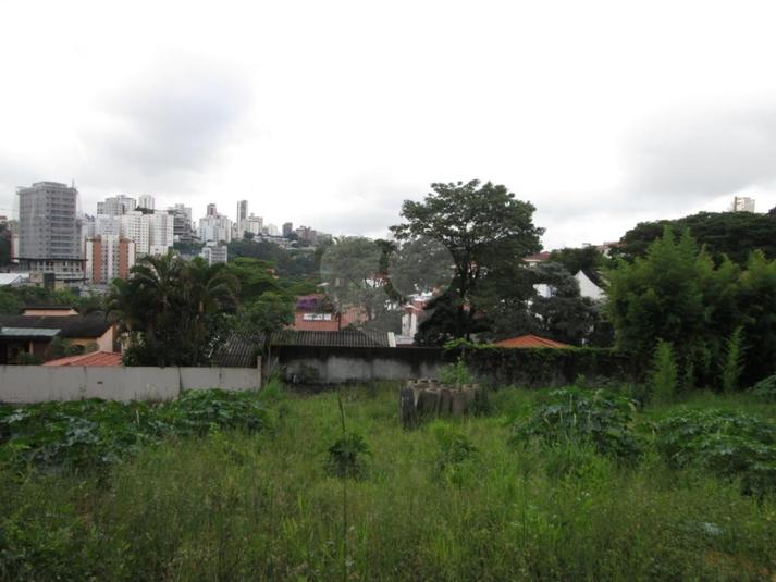 Foto REO301145