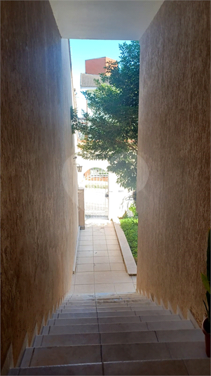 Foto REO302462