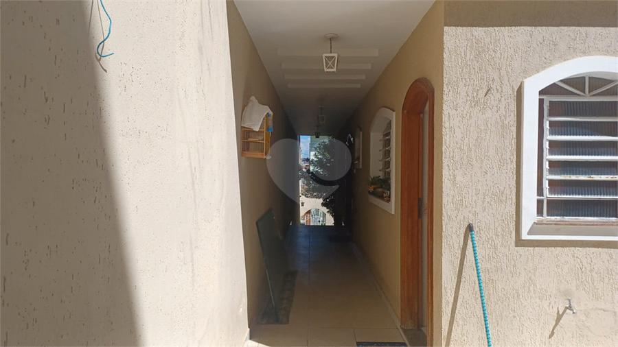 Foto REO302462