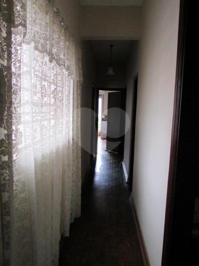 Foto REO302568