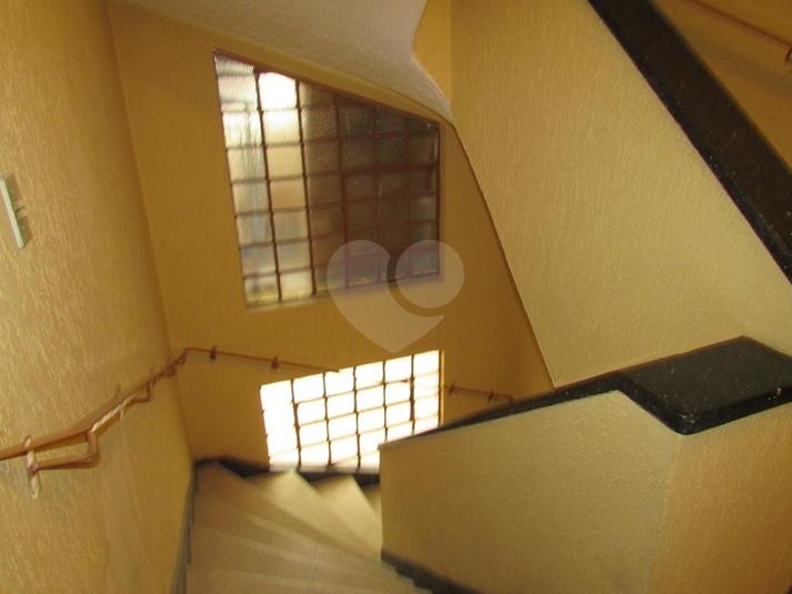 Foto REO302568