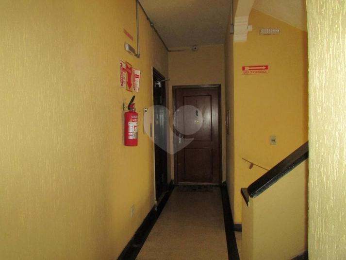 Foto REO302568