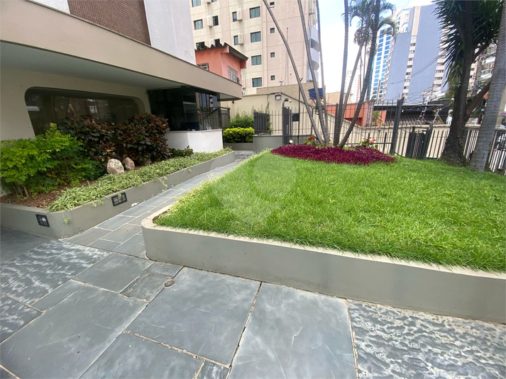 Foto REO302761