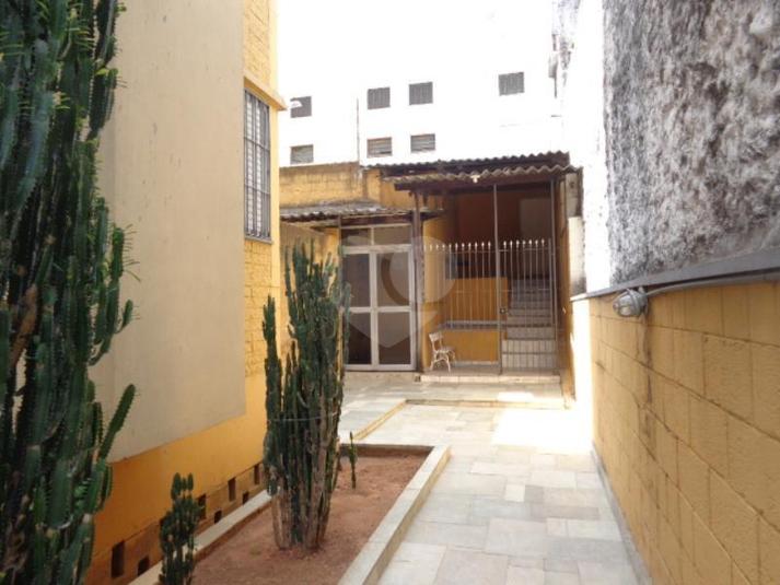 Foto REO302815