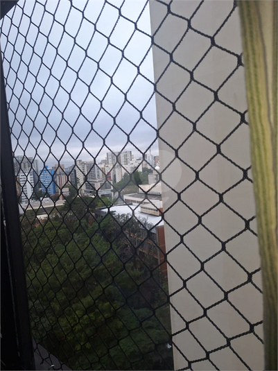 Foto REO303171