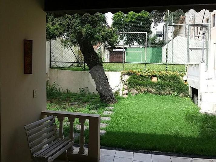 Foto REO303566