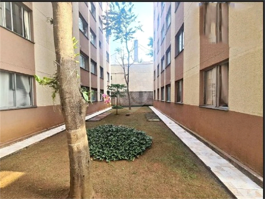 Venda Apartamento São Paulo Super Quadra Morumbi REO30368 16