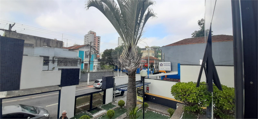 Foto REO304460