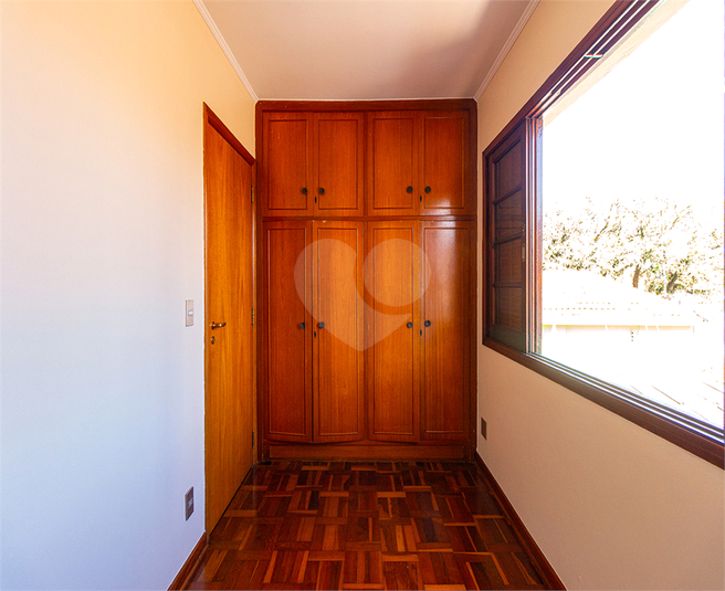 Foto REO304669