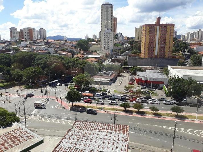 Foto REO304885