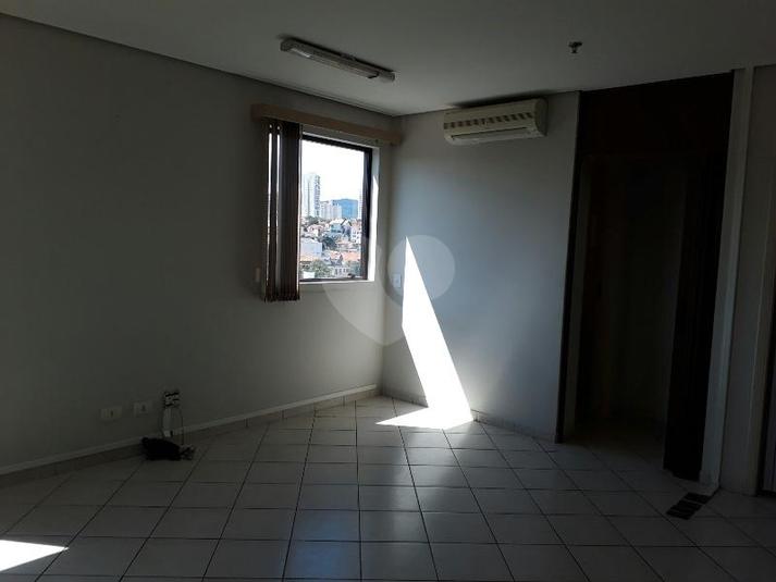Foto REO304885