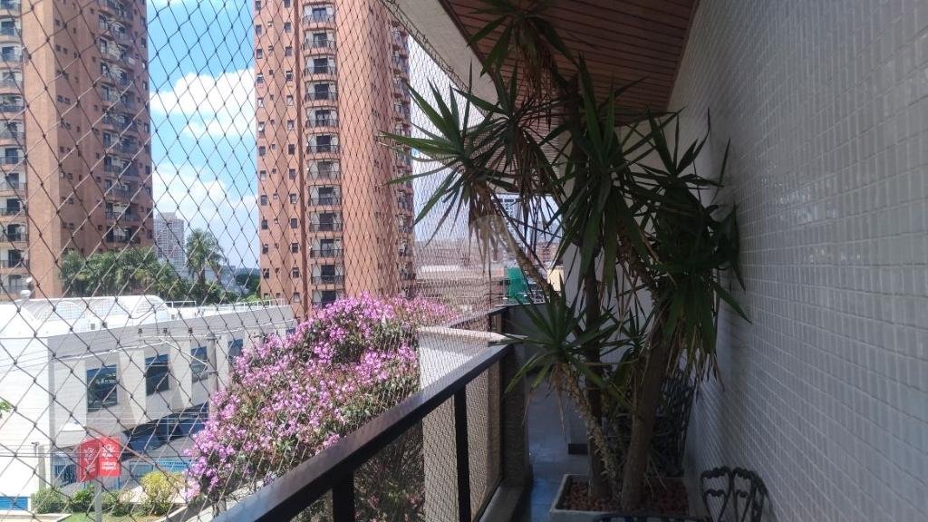 Venda Apartamento Guarulhos Vila Lanzara REO304954 4