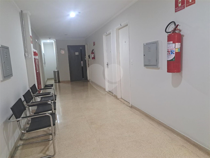 Foto REO305208