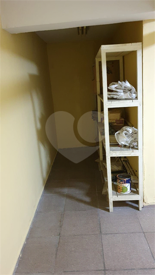 Foto REO305245
