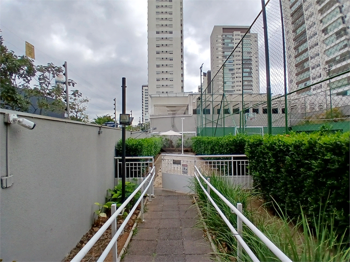 Foto REO305924