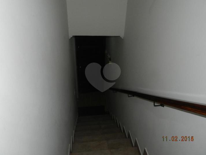 Foto REO306149