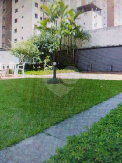 Foto REO306329