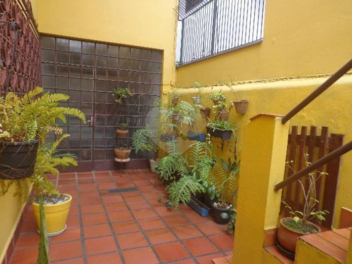 Foto REO306635