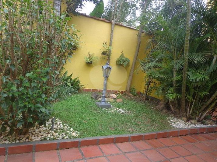 Foto REO306635