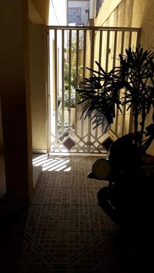Foto REO308049