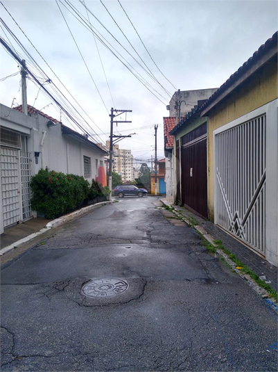 Foto REO308049
