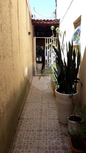 Foto REO308049
