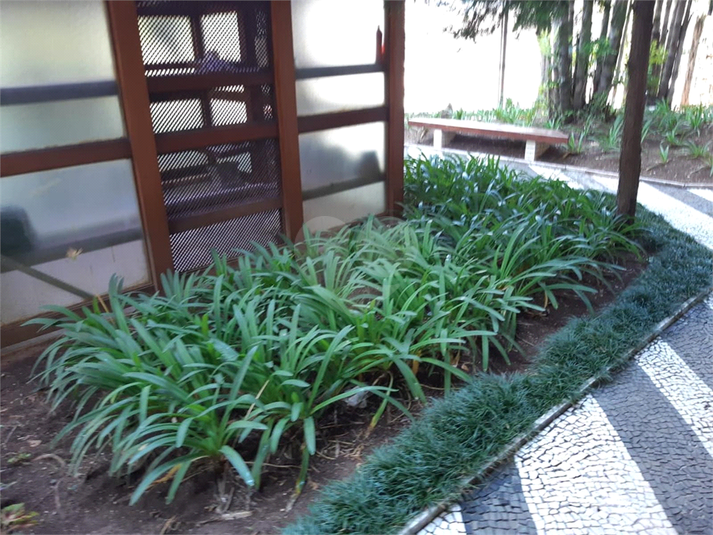 Foto REO308434